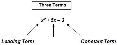 Polynomial Terms